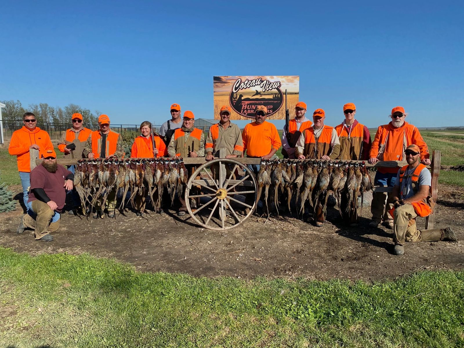 Pheasants on the wagon thumbnail